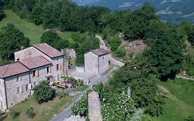 SacreTerre B&B e Agriturismo